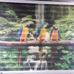 cortina roller estampada